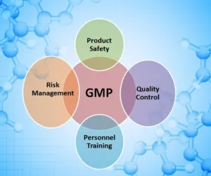 Importance of GMP and Regulatory Compliance in Pharma Manufacturing